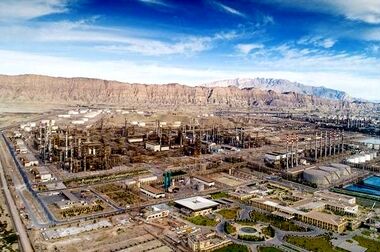 مدیرعامل شستا: صادرات انتخاب نیست، شرط بقا، مسیر یادگیری و حضور در متن شبکه‌های کسب‌وکار است