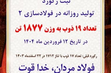 بازدید مدیرعامل شرکت فولاد آلیاژی ایران از پروژه توسعه‌ای وایر