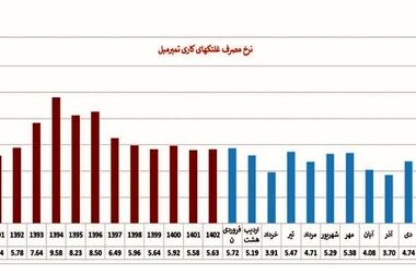 هدف‌گذاری گروه فولاد مبارکه برای تحقق تولید فولاد سبز/ نرخ برق صنایع طی ۵ سال ۲۸ برابر افزایش‌ یافت