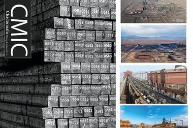 تشکیل کمیته سلامت، ایمنی، محیط زیست و توسعه پایدار در چادرملو