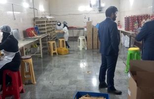 صندوق کارآفرینی امید برای ۳۲۰ نفر در خراسان رضوی شغل ایجاد کرد