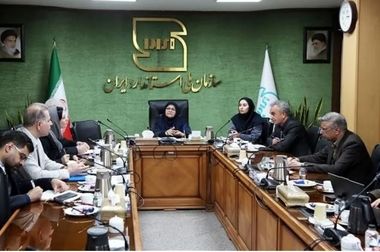 بازدید نایب رئیس کمیسیون عمران مجلس شورای اسلامی از منطقه ویژه اقتصادی لامرد