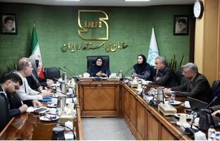 آغاز اجرای اجباری ۱۲۲ استاندارد ایمنی جدید برای خودروها / کاهش ۱۰ درصدی تصادفات در دستور کار دولت