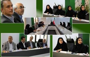 نشست مشترک پژوهشکده بیمه و مرکز ملی تحقیقات بیمه سلامت با محوریت گسترش همکاری‌های راهبردی در حوزه پیشگیری، ارتقای سلامت جامعه و کاهش بار هزینه‌های درمان بر اقتصاد ملی