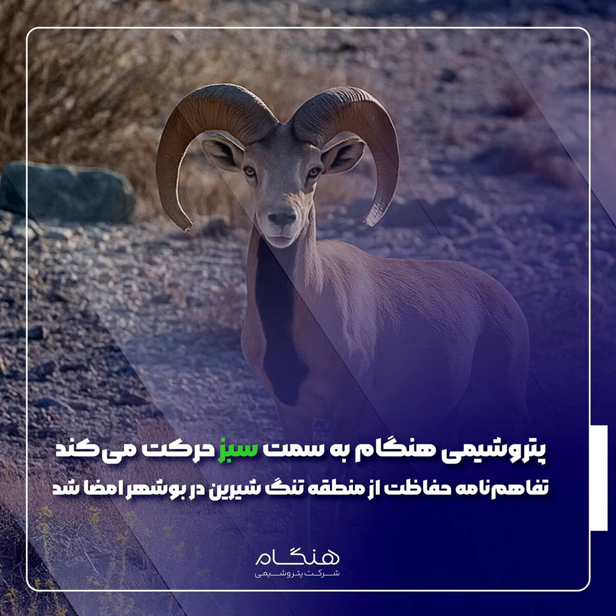  تفاهم‌نامه حفاظت از منطقه تنگ شیرین در بوشهر امضا شد