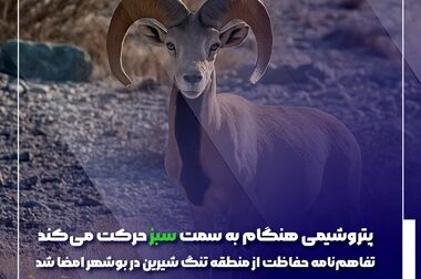 پتروشیمی هنگام در ادامه مسیر زیست‌محیطی خود، پروژه «ارزیابی چرخه زندگی (LCA)، ردپای کربن و ردپای آب» را آغاز کرد