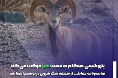 پتروشیمی هنگام در ادامه مسیر زیست‌محیطی خود، پروژه «ارزیابی چرخه زندگی (LCA)، ردپای کربن و ردپای آب» را آغاز کرد