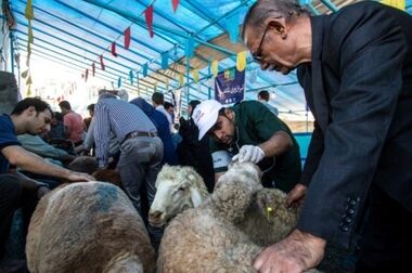 جانباز شدن 3 نفر از همکاران سازمان میادین در جنگ 12 روزه