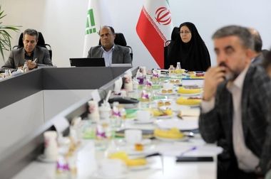 تأکید رئیس پژوهشکده بیمه بر نقش صنعت بیمه در تقویت تاب ‌آوری اقتصاد ملی