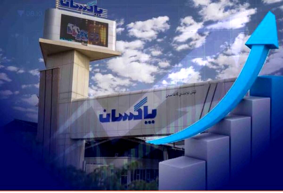 رشد ۴۶ درصدی فروش شش ماهه پاکسان
