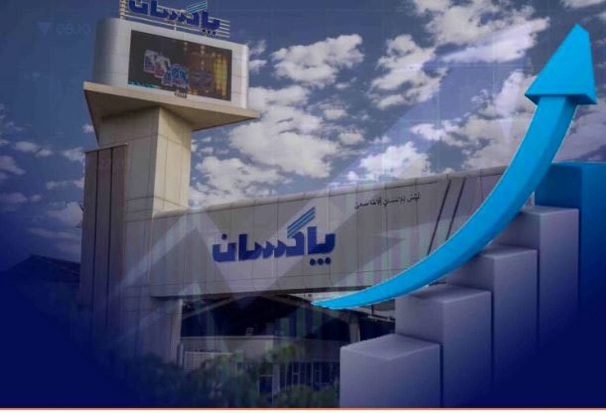 رشد ۴۶ درصدی فروش شش ماهه پاکسان