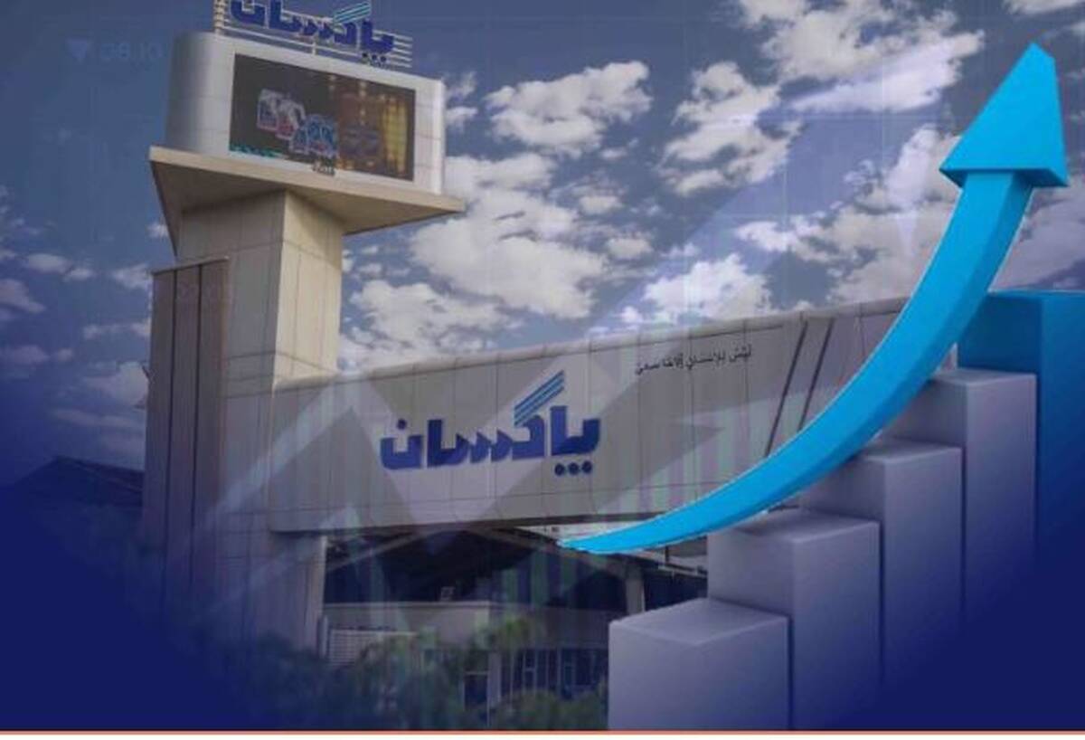 رشد ۴۶ درصدی فروش شش ماهه پاکسان