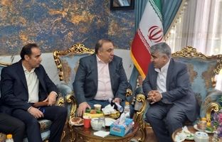 گسترش تعاملات صبانور در راستای استراتژی توسعه