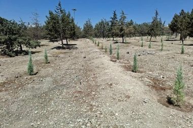 روایت کامل عملکرد شهرداری منطقه ۴ در بازسازی و حمایت از آسیب‌دیدگان جنگ ۱۲ روزه