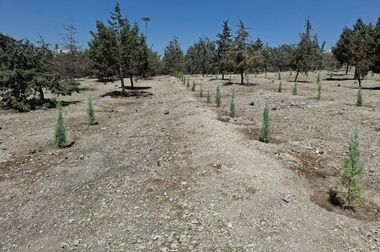برگزاری جلسه شورای تحول اداری شهرداری منطقه ۴