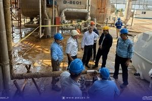 دستیابی به دانش فنی شستشوی شیمیایی رسوبات اکسیدی در پتروشیمی پردیس