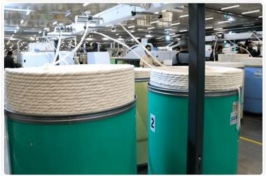 پایان عصر بنگاهداری در بانک ملی و تمرکز بر بانکداری مدرن/ بانک ملی ایران؛ حرکت به سوی شفافیت و رقابت‌پذیری با خروج از بنگاهداری