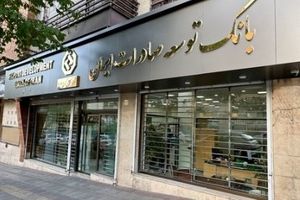 حمایت ویژه بانک توسعه صادرات ایران از صنایع با طرح ” نوید“ / تسهیل تامین سرمایه در گردش با طرح جدید