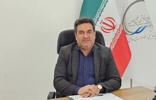پیام تبریک مدیرعامل شرکت پتروشیمی هنگام به مناسبت هفته دولت