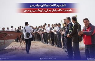 آغاز طرح کاشت درختان حرا در دیر با حمایت ۱۵ میلیارد ریالی پتروشیمی پردیس