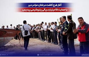 آغاز طرح کاشت درختان حرا در دیر با حمایت ۱۵ میلیارد ریالی پتروشیمی پردیس