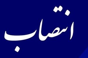 رئیس دفتر حوزه ریاست پژوهشکده بیمه منصوب شد