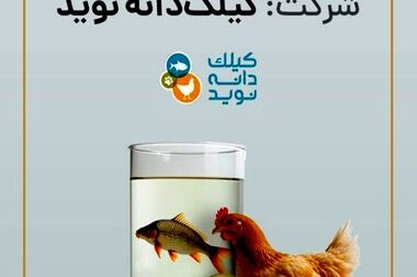 تفاهم‌نامه همکاری بین تامین سرمایه تمدن و شرکت پتروشیمی فناوران به امضا رسید