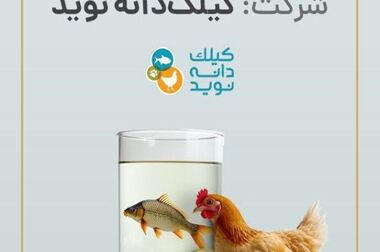 توسعه همکاری‌های تامین سرمایه تمدن با صنایع نفتی