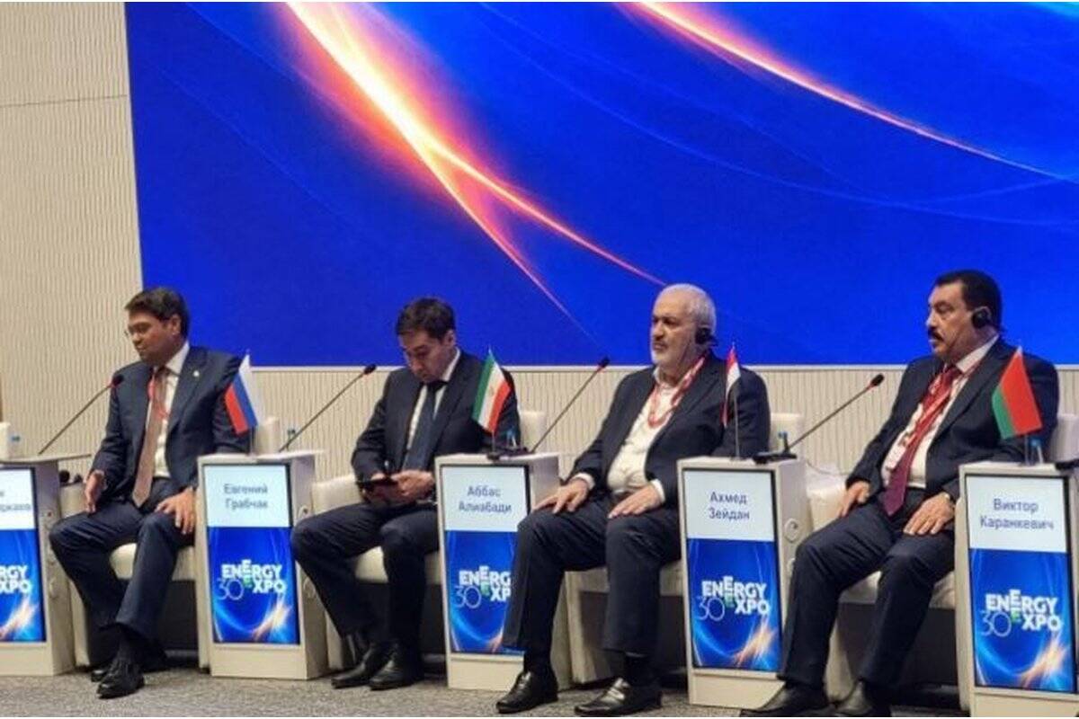 توسعه صنعت برق ایران در مسیر درست قرار دارد/ آمادگی برای گسترش اتصال الکتریکی با کشورهای منطقه