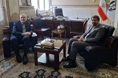 هیچ بحثی در ستاد مبارزه با موادمخدر درباره کشت خشخاش وجود ندارد/ تشریح گروه‌بندی جدید در طرح تحول درمان