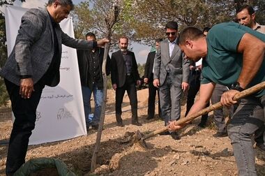 در حادثه  پروژه امامزاده اسماعیل (چیذر) ، اجرای سازه نگهبان از ریزش دیواره جنوبی جلوگیری کرد