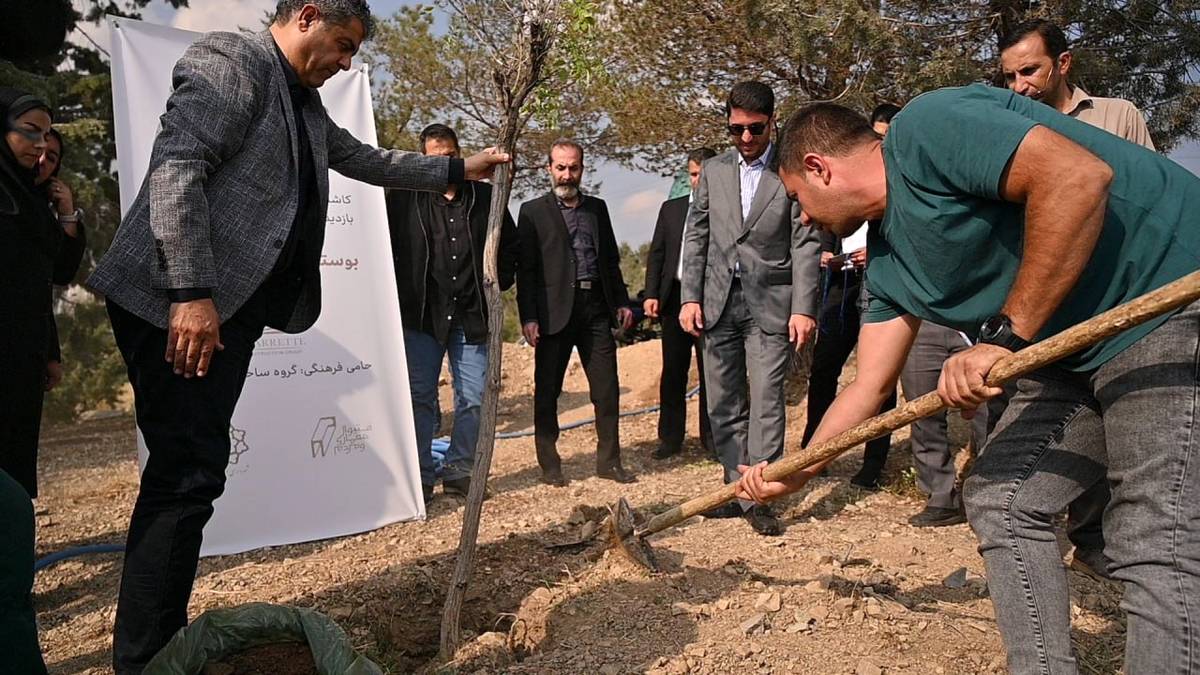  ۴۰۰ نهال به جنگل کاری های سوهانک اضافه شد