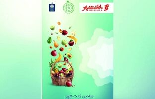 میادین کارت عملیاتی شد/ امکان استفاده از میادین کارت توسط سازمان‌های خصوصی و دولتی