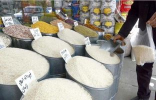 عرضه برنج ایرانی کاهش یافت/ نرخ برنج پاکستانی سه برابر شد