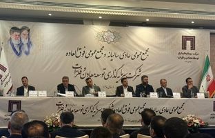 رشد ۳۰ درصدی سود شرکت‌های مدیریتی توسعه معادن و فلزات در سال ۱۴۰۳ /تصویب تقسیم سود ۱۷ تومانی هر سهم در مجمع سالیانه 
