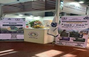 آینده کشاورزی ایران با مدیریت دانش‌بنیان، شبکه‌سازی مدیران و توانمندسازی سرمایه انسانی توسعه می‌یابد