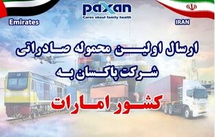 امارات مقصد جدید؛ محصولات صنعتی پاکسان در مسیر تنوع بخشی به بازارهای صادراتی