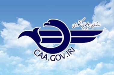 ۶٠ درصد ناوگان هوایی در اختیار بخش خصوصی است