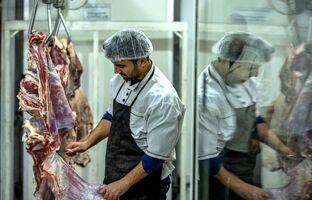 توزیع روزانه 60 تن گوشت در میادین و بازارهای میوه و تره‌بار