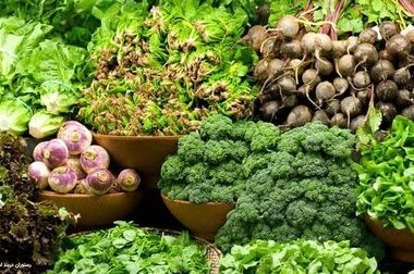 اختلاف قیمت ۴۱ درصدی میوه در میادین و بازارهای میوه و تره‌بار به نسبت سطح شهر