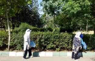 مشارکت بانوان حامی محیط‌زیست منطقه2 در پویش پاکسازی بوستان پردیسان/ بوستان پردیسان میزبان بانوان حامی محیط زیست