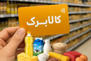 مبلغ کالابرگ همه دهک‌ها افزایش نمی‌یابد/ میزان افزایش به درآمدهای دولت بستگی دارد