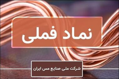 دکتر سیدمصطفی فیض اردکانی راهبری مس ایران را برعهده گرفت