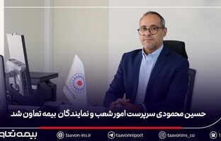 حسین محمودی سرپرست مدیریت امور شعب و نمایندگان بیمه تعاون شد