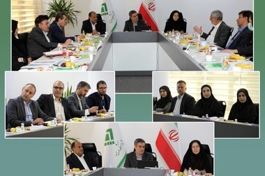 نیاکان: بلوغ دیجیتال، مسیر تحول در مدیریت ریسک بیمه‌های درمانی است