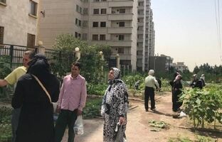 راه‌اندازی مزارع خانوادگی در بوستان گلگشت منطقه ۲
