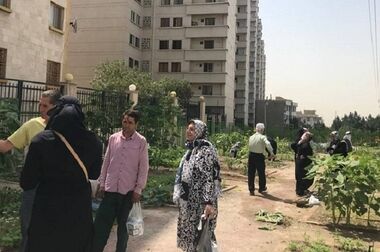 پایان سرویس‌دهی خطوط مینی‌بوس‌رانی در منطقه ۲ 