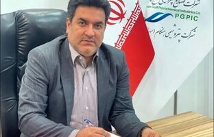 پیام تبریک مدیرعامل شرکت پتروشیمی هنگام به مناسبت هفته وحدت