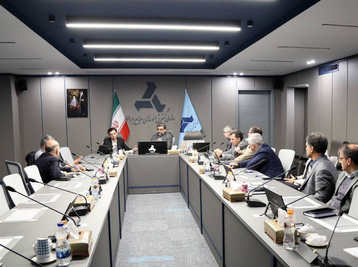 پرداخت سهم الشرکه پروژه توسط سهامدار عمده