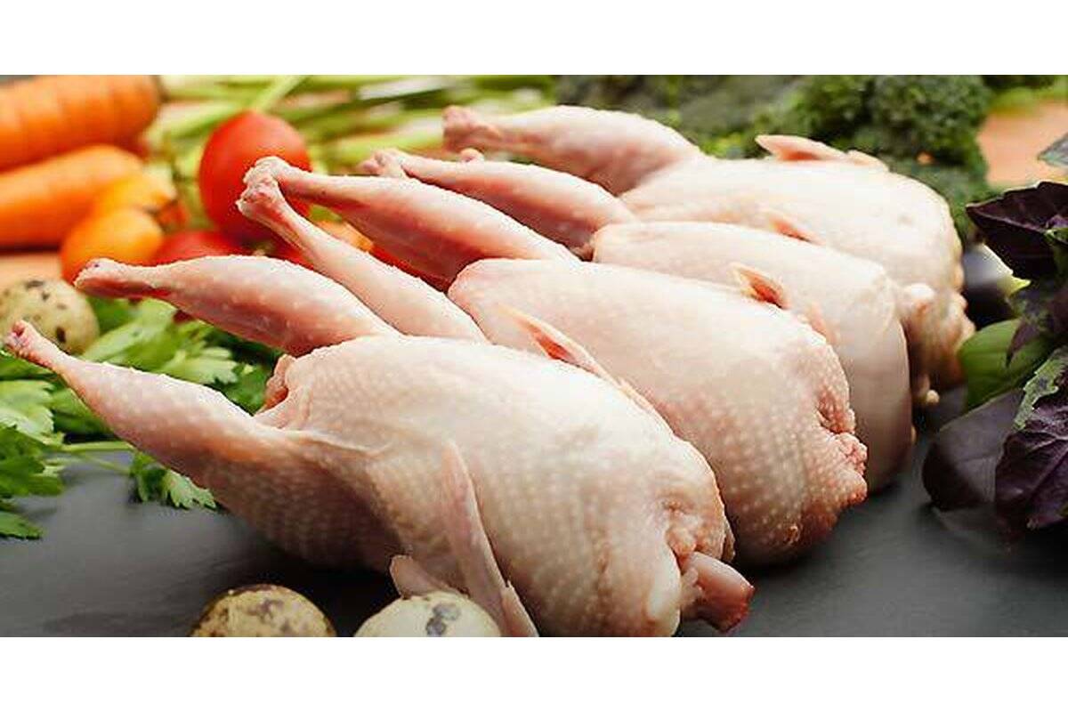 قیمت گوشت و تخم بلدرچین امروز ۵ مهرماه ۱۴۰۵ اعلام شد